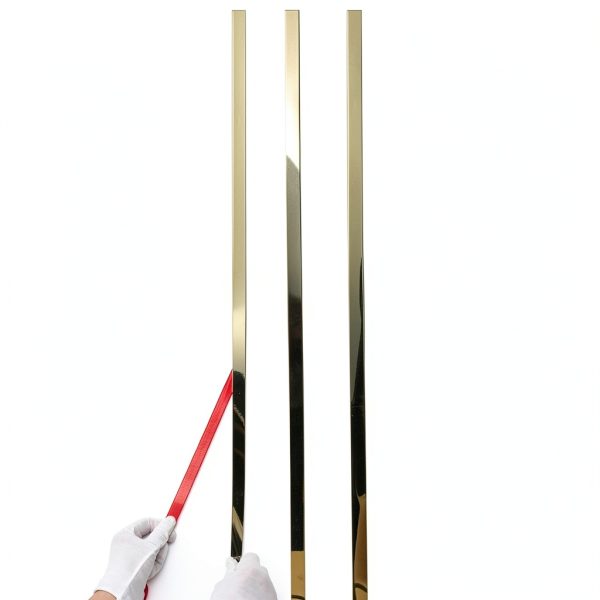 Stainless Steel Wall Trim Taaizau Modern Gold-0
